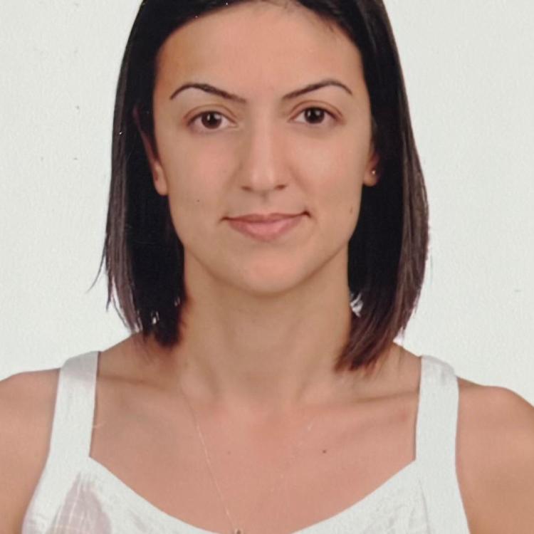   Elif Ozkilitci